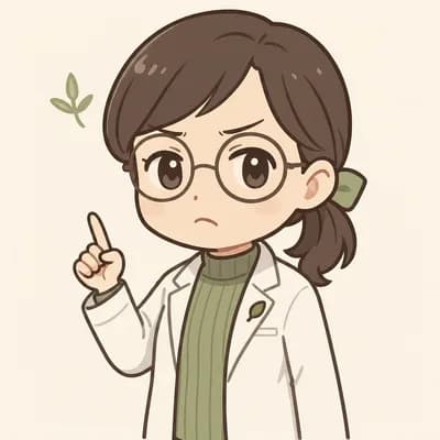 みどり先生(イメージ)