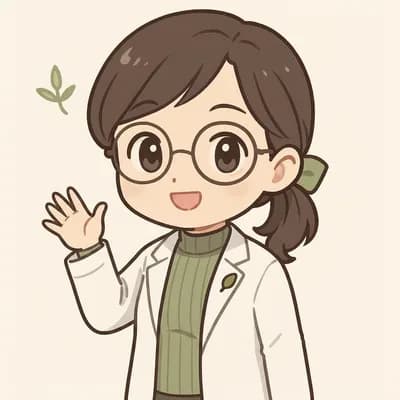 みどり先生(イメージ)
